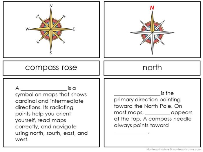 The "Latitude and Longitude: Geographic Coordinate System" worksheet features a compass rose, the word "north," and fill-in-the-blank boxes explaining their meanings, map reading uses, and how latitude/longitude help locate places. Montessori Nature Printables