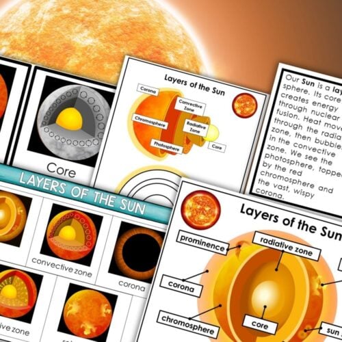 Layers of the Sun: Solar System & Cosmic Education Montessori features labeled diagrams and text explaining the core, radiative zone, convective zone, and corona—ideal for Montessori learning about our Solar System. Montessori Nature Printables