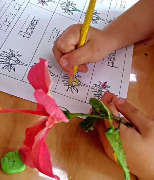 DIY Montessori Inspired Activities and Games for 3 - 5-year-olds ...