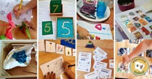 Learning activities montessori nature printables hands on diy preschool (46)