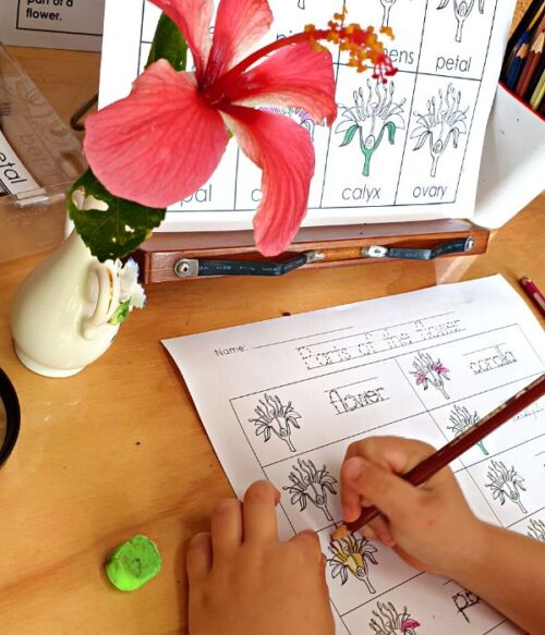 DIY Montessori Inspired Activities and Games for 3 - 5-year-olds ...