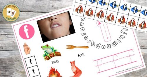 Free Printable - Letter F Student Activity Page Phonics - Montessori Nature