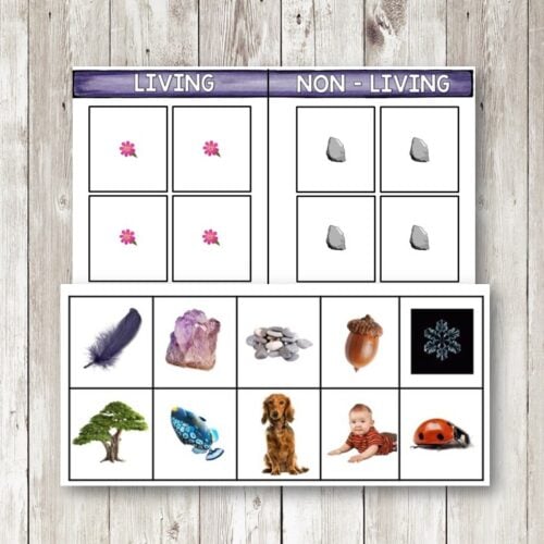 The "Living Non-Living Sort" worksheet offers a grid-based sorting activity with images, helping students categorize objects and animals as living or nonliving. Montessori Nature Printables