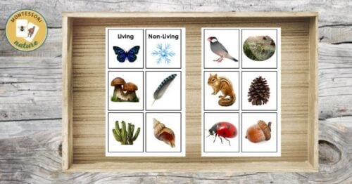 Free Printable - Animals and Their Homes - Montessori Nature