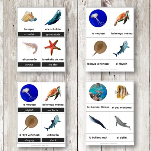 Los Animales Marinos Ocean Animals Spanish Bilingual 3 Part Cards feature images and names of ocean animals like cuttlefish, whale, dolphin, jellyfish, sea turtle, and shark. Montessori Nature Printables