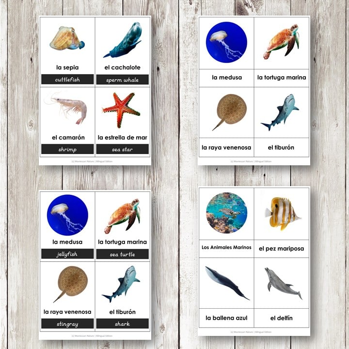 Los Animales Marinos Ocean Animals Spanish Bilingual 3 Part Cards feature images and names of ocean animals like cuttlefish, whale, dolphin, jellyfish, sea turtle, and shark. Montessori Nature Printables