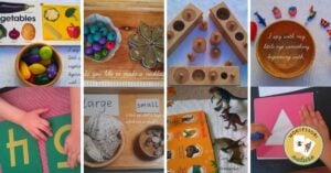 Montessori-Inspired-Explorations-and-Hands-on-Activities-Montessori-Nature-19