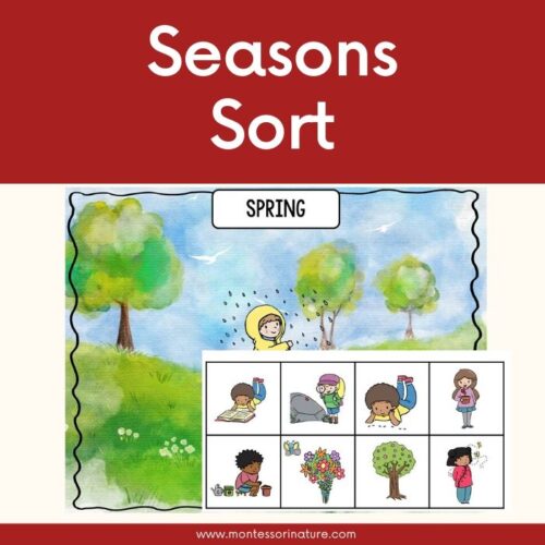 Free Printable - Seasons Sort | Montessori Nature Printables
