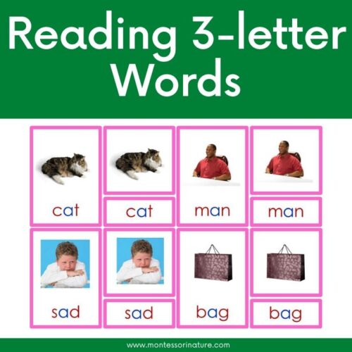 Free Printable CVC 3 Letter Words Middle a Sound Montessori 