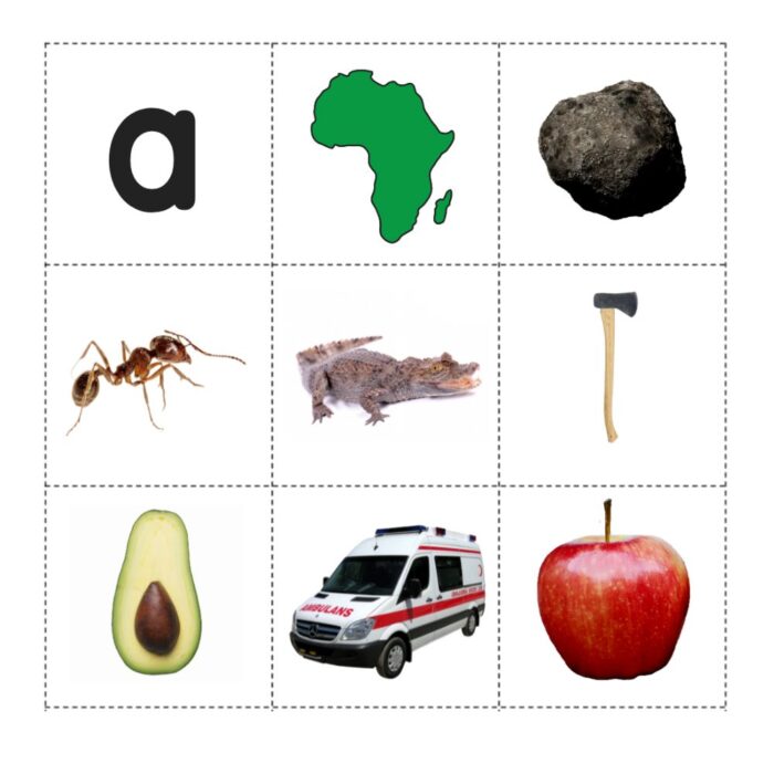 Montessori Nature Phonics Initial Sound Cards Language Resource Preschool (5)