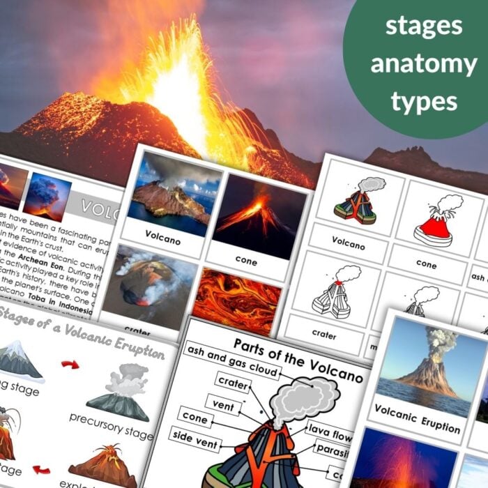 Collage highlighting the "Parts of a Volcano Stages of Volcanic Eruption Types of Volcanoes" with erupting volcano photos, labeled diagrams, eruption stages, and illustrations. Montessori Nature Printables