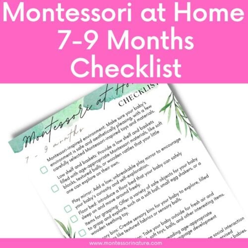 Montessori at Home 7 - 9 months baby montessori nature free printable for parents and caregivers