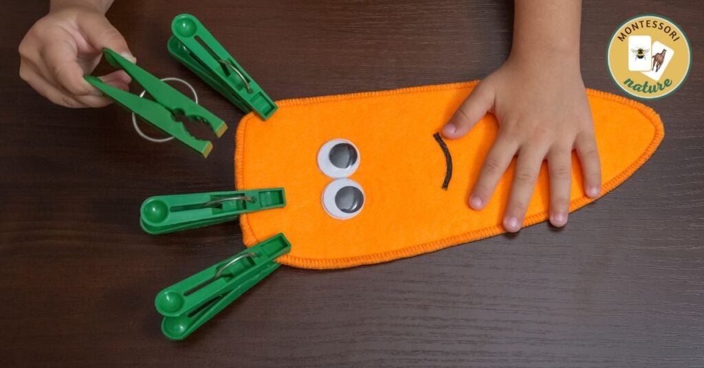 Montessori-nature-fine-motor-activities-for-toddlers-and-preschoolers-hands-on-learning-children