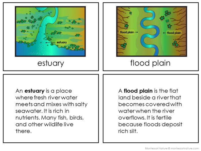 Two illustrated diagrams from "Mountains and River Landforms": one of an estuary, where river and seawater meet, and one of a flood plain with labeled flood area. Definitions appear below each illustration. Montessori Nature Printables