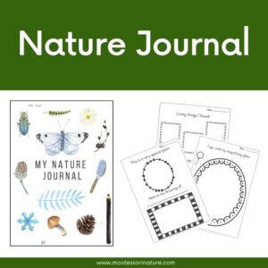 Welcome to the Resource Library - Montessori Nature Printables