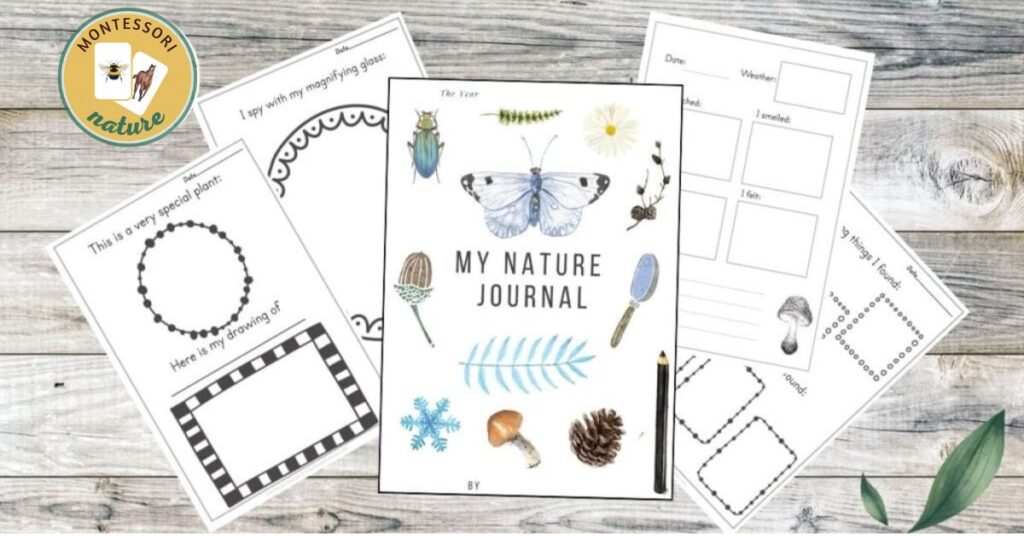 Explore the wonders of nature with my free printable nature journal.