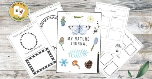 Free Printable - Nature Journal - Montessori Nature