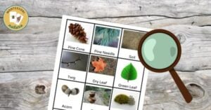 A worksheet with labeled photos of natural objects—pine cone, pine needle, soil, twig, dry leaf, green leaf, acorn, and moss—next to a magnifying glass on a wooden surface.