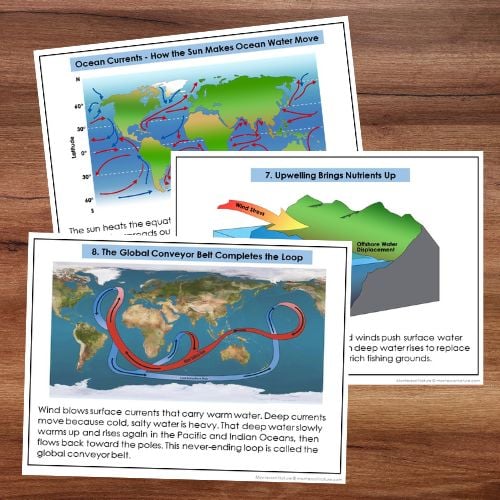 Ocean Currents and Climate - Image 2