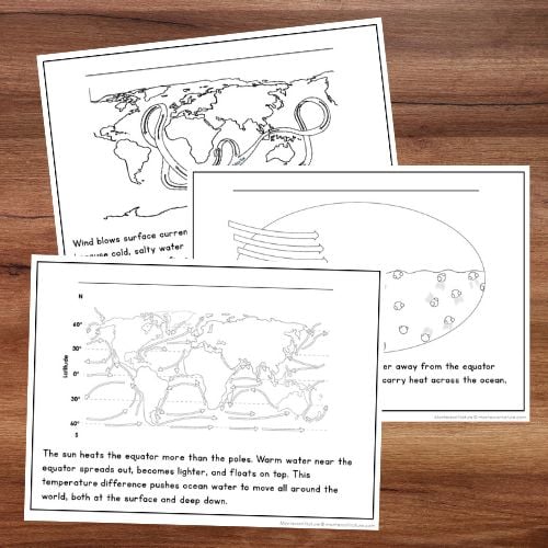 Ocean Currents and Climate - Image 3