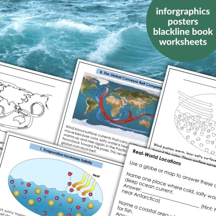 Ocean Currents and Climate