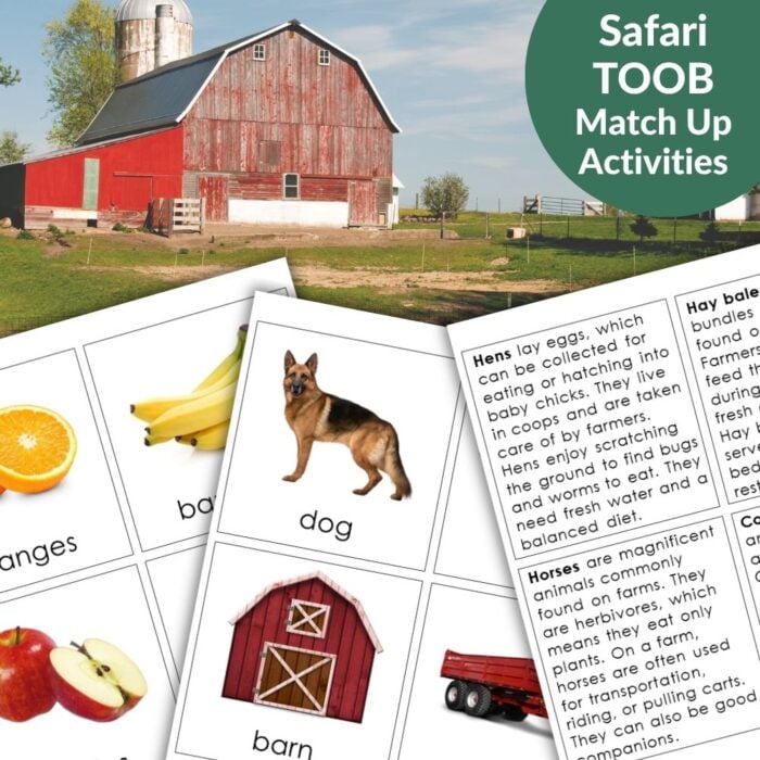 Farm: Safari TOOB Compatible 3 Part Cards & Facts features a red barn background and educational animal/object flashcards, including 3 part cards—ideal for teaching farm facts. Montessori Nature Printables