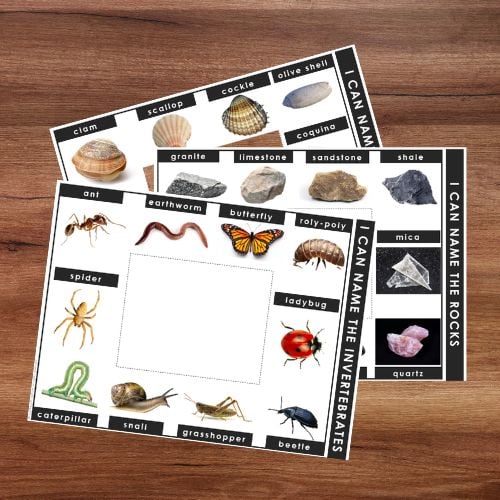 Two "Outdoor Nature STEM Activity: I Can Name It Identifiers" cards rest on a wooden surface—one highlights rocks, the other invertebrates—ideal tools for learning and exploring nature. Montessori Nature Printables
