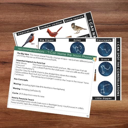 Two educational worksheets from "Outdoor Nature STEM Activity: I Can Name It Identifiers" feature moon phases, bird and constellation identifiers—perfect for hands-on STEM learning and outdoor exploration. Montessori Nature Printables