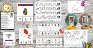 Owl counting worksheets for preschool and kindergarten.