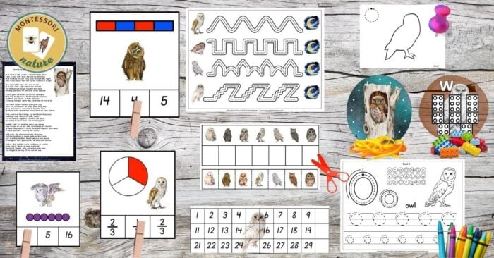 Free Printable Owl Early Learning Activities - Montessori Nature