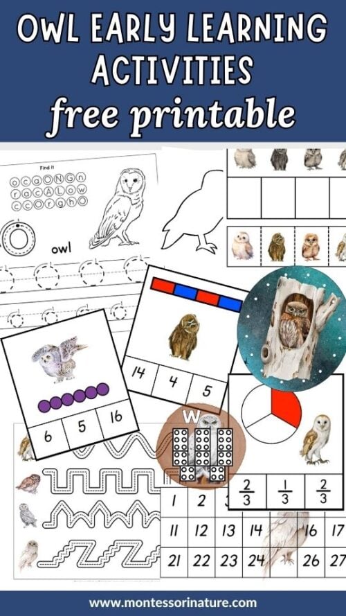 Free Printable Owl Early Learning Activities - Montessori Nature