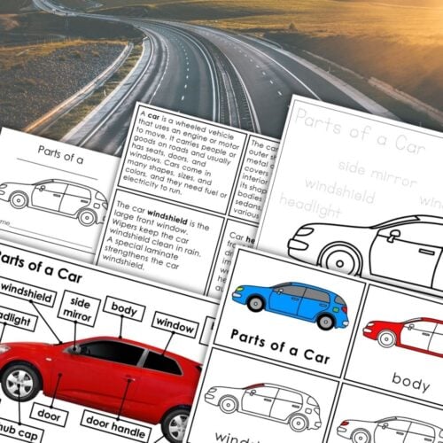 Parts of a Car: 3 Part Cards Diagram Blackline Master