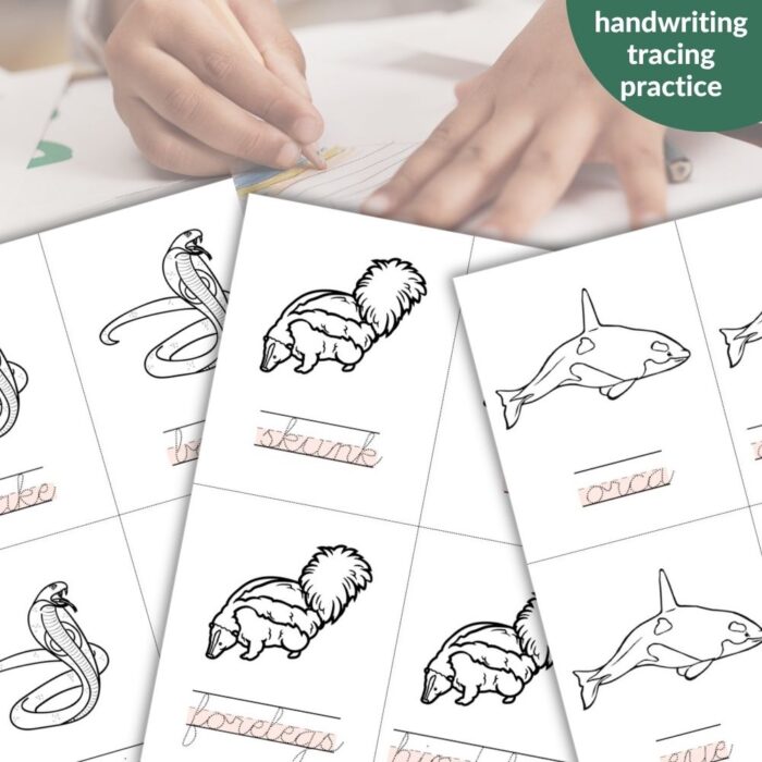 The Handwriting Practice: Animal Nomenclature Set features worksheets on snake, skunk, and orca, with fun illustrations and tracing activities—ideal for engaging handwriting practice for kids!. Montessori Nature Printables