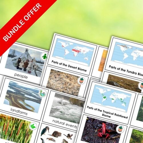 Parts of the Biomes Bundle