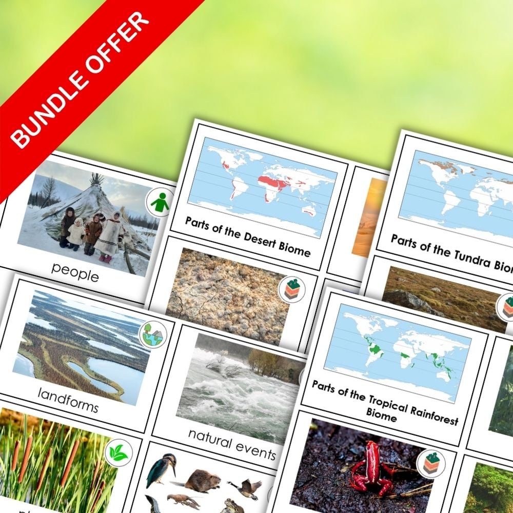 Parts of the Biomes Bundle - Image 1