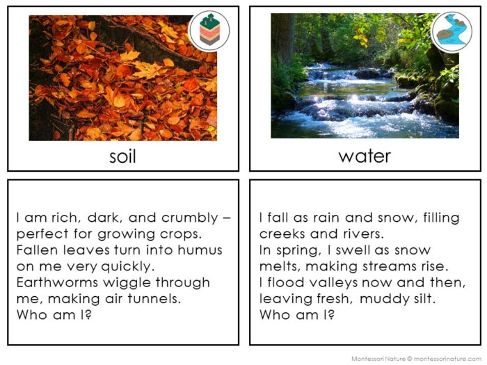 Parts of the Deciduous Forest Biome - Image 4