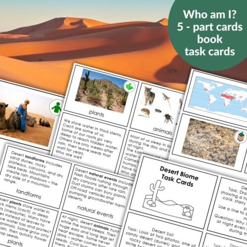 Parts of the Desert Biome