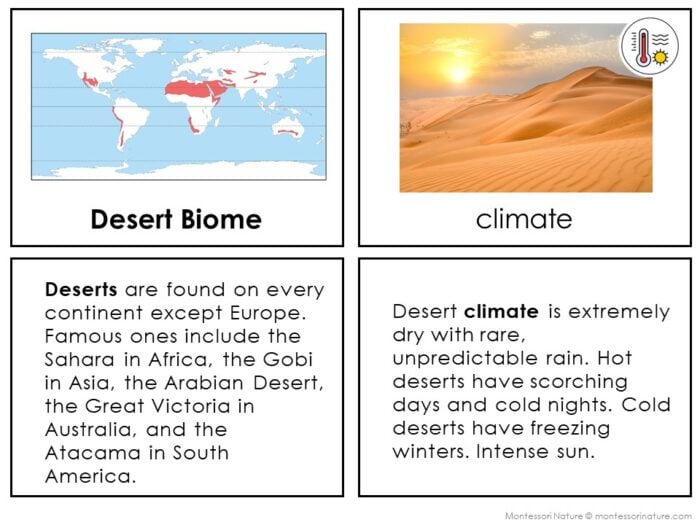 Parts of the Desert Biome - Image 3