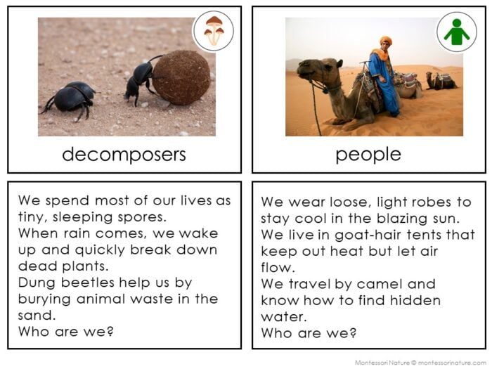Parts of the Desert Biome - Image 4