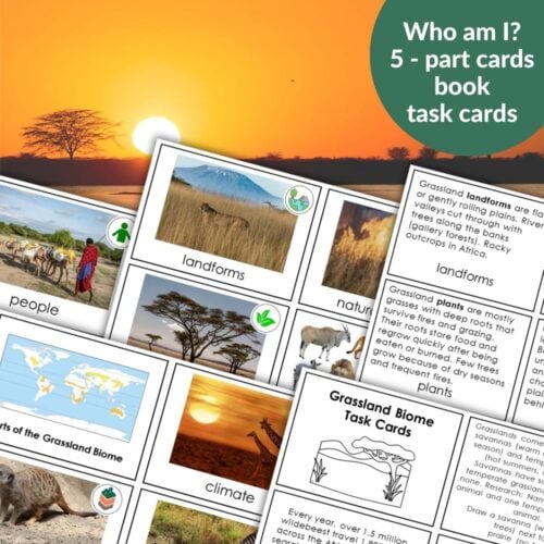 Parts of the Grassland Biome includes educational materials with photos, maps, info cards, and task cards about key grassland parts, all set against a savanna sunset backdrop. Montessori Nature Printables