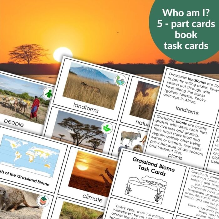 Parts of the Grassland Biome includes educational materials with photos, maps, info cards, and task cards about key grassland parts, all set against a savanna sunset backdrop. Montessori Nature Printables