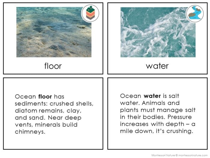 Parts of the Ocean Biome - Image 3