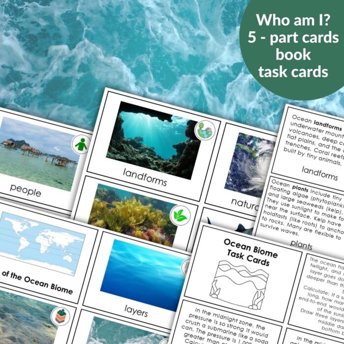 Types of Clouds Printables and Hands on Activities - Montessori Nature
