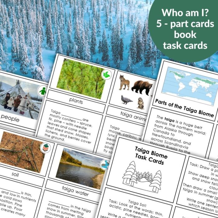 Parts of the Biomes Bundle