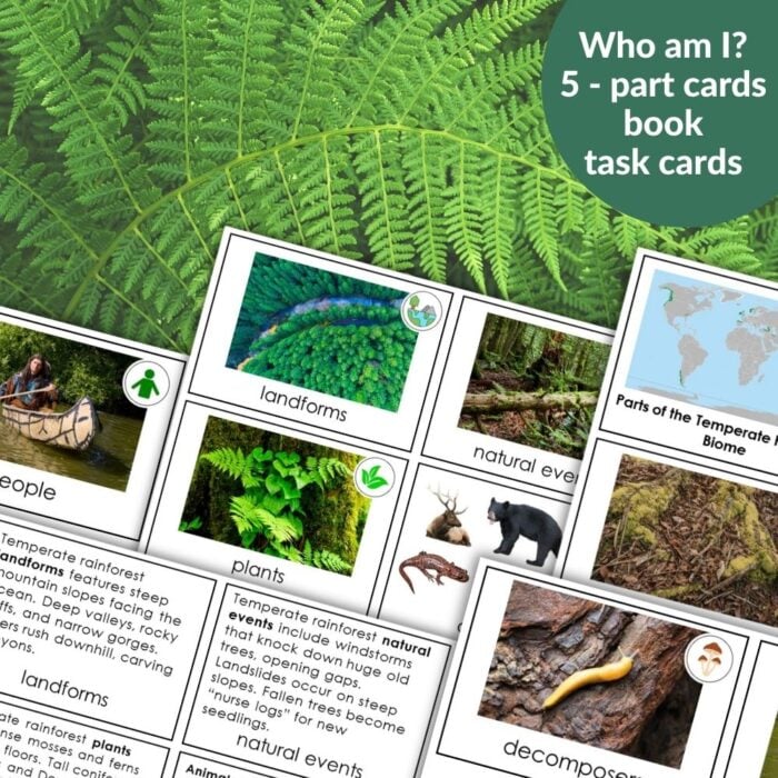 Parts of the Biomes Bundle