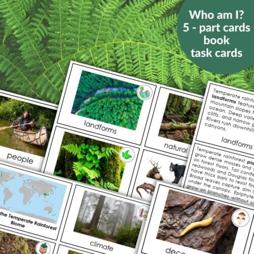Parts of the Temperate Rainforest Biome" are educational task cards with images and text about landforms, plants, natural events, and decomposers in the Temperate Rainforest Biome, all set on a fern background. Montessori Nature Printables