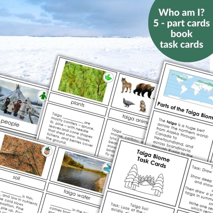 Parts of the Biomes Bundle