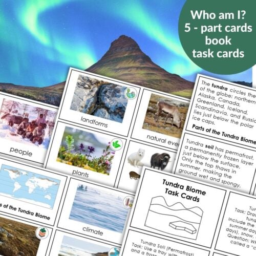 Parts of the Tundra Biome" offers educational task cards with photo collages and facts about people, plants, animals, soil, and water in the taiga and tundra ecosystems. Montessori Nature Printables