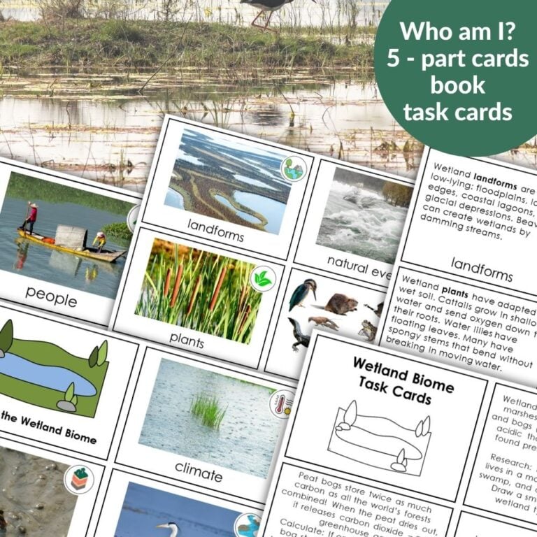 Types of Clouds Printables and Hands on Activities - Montessori Nature