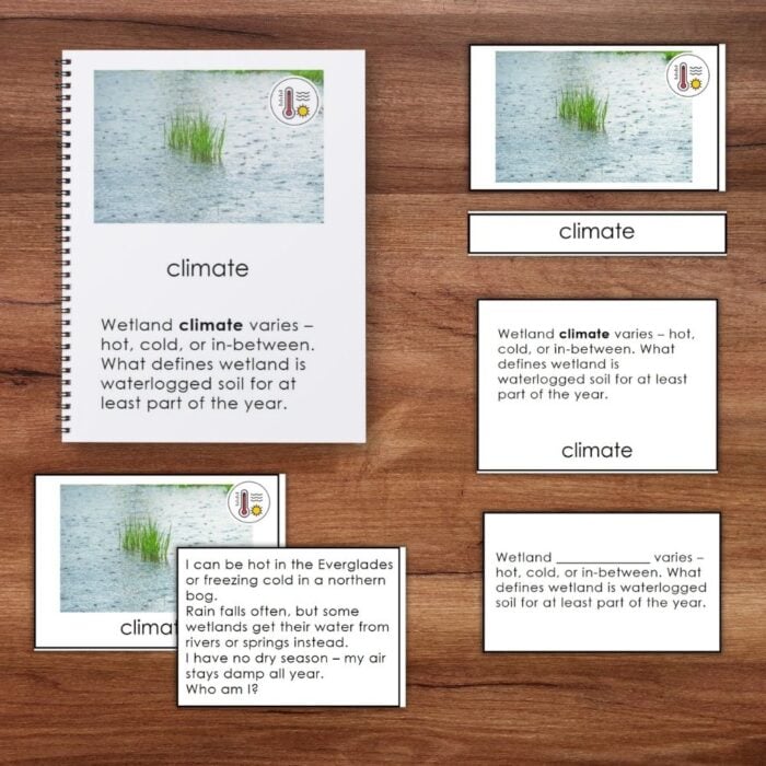 Parts of the Wetland Biome" is an educational set about wetland ecosystems and climate, featuring text and grass-in-water images displayed on a wooden surface. Montessori Nature Printables